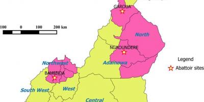 Cameroon showing regions map